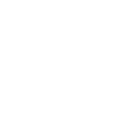 government